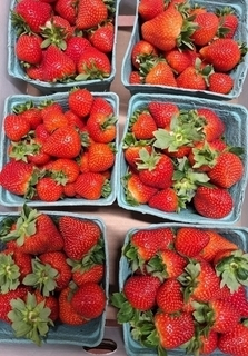 Strawberries (LOCAL)